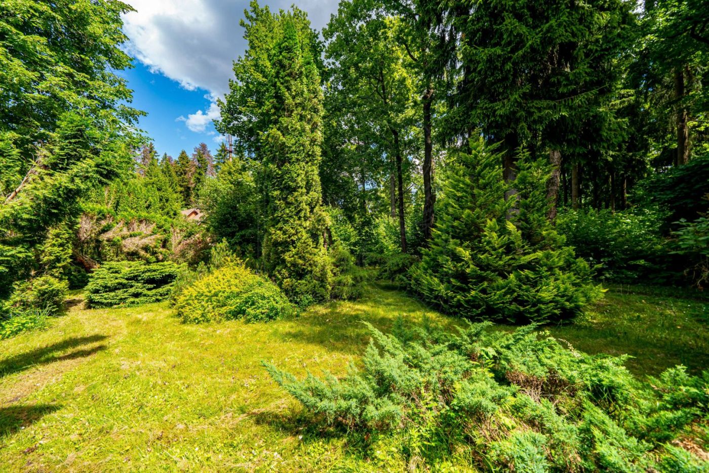Уютный дом на лесном участке в ДСК Крепыш - фото 3