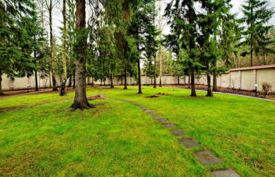 photo 63f3df5336a6e_thumb.jpg