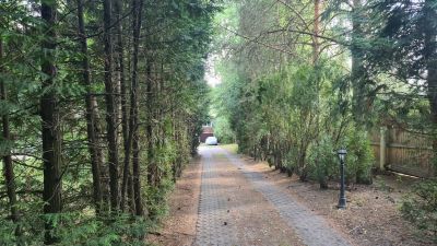 photo 6495614733b5d_thumb.jpg