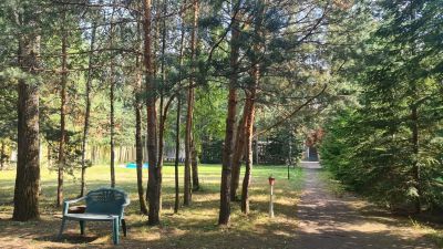 photo 64956148a6582_thumb.jpg