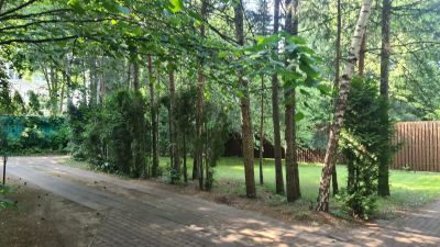 photo 6495614df3b1e_thumb.jpg