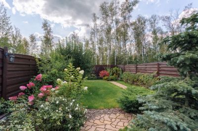 photo 650807a5c4009_thumb.jpg