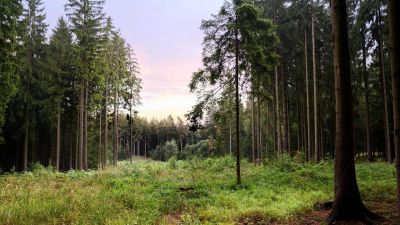 photo 648c5bd6ac15b_thumb.jpg