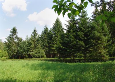 photo 648c5bd90470e_thumb.jpg