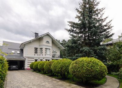 photo 64db6c55bcba7_thumb.jpg