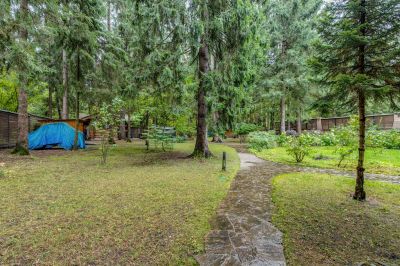 photo 11353_63bdc2d1e7d76_thumb.jpg