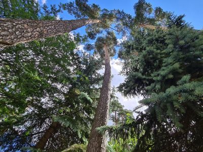 photo 66741f716e25b_thumb.jpg