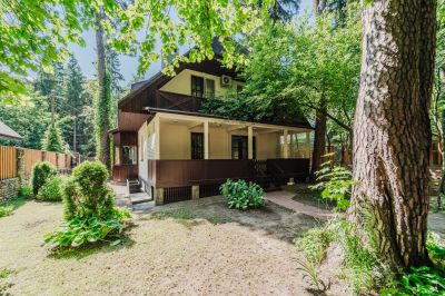 photo 6685145ddb657_thumb.jpg