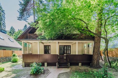 photo 668514614ca16_thumb.jpg