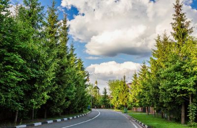 photo 672df43118216_thumb.jpg