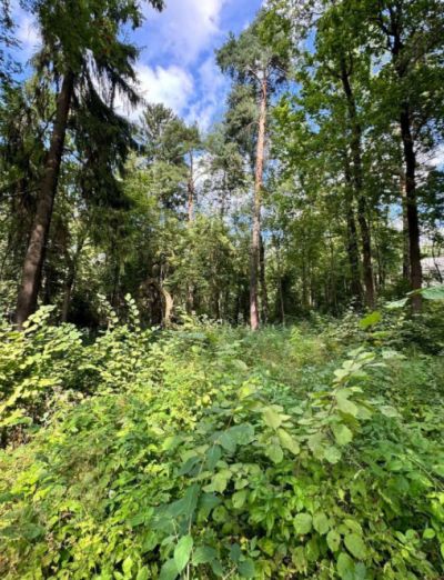 photo 67346fe801dc5_thumb.jpg