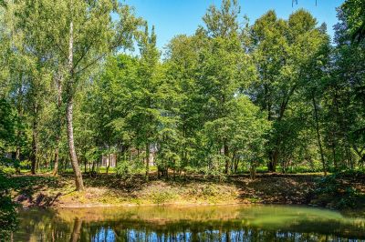 photo 6749b2ae06fc5_thumb.jpg