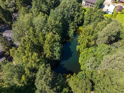 photo 6749b2afe25ee_thumb.jpg