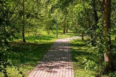 photo 6749b2b38b893_thumb.jpg