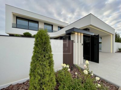 photo 69df8b103d35c_thumb.jpg