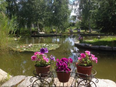 photo 67923b9c54efe_thumb.jpg