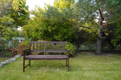 photo 67cac8e2263da_thumb.jpg