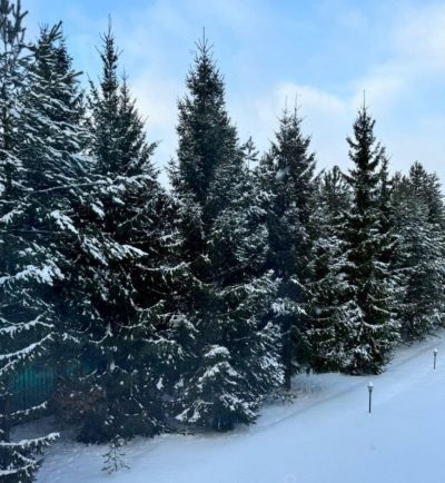 photo 67c19c9bc46cc_thumb.jpg