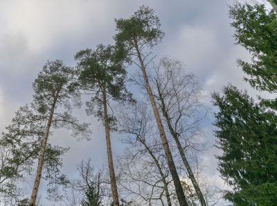 photo 11939_6769781b3357a_thumb.jpg