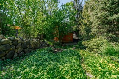 photo 6834591821f74_thumb.jpg