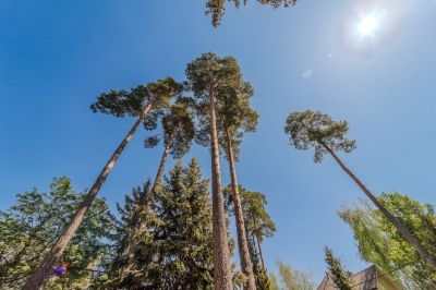 photo 683459190d753_thumb.jpg