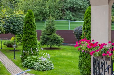 photo 67e148d7631b0_thumb.jpg