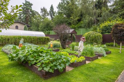 photo 67e14910ad45d_thumb.jpg