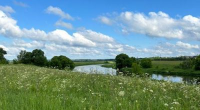 photo 681b05b92d214_thumb.jpg