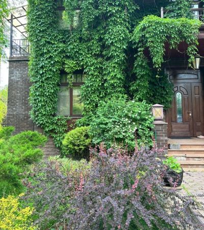 photo 681b05b9dce35_thumb.jpg