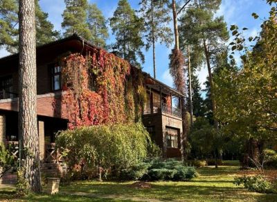 photo 681b05f59703f_thumb.jpg