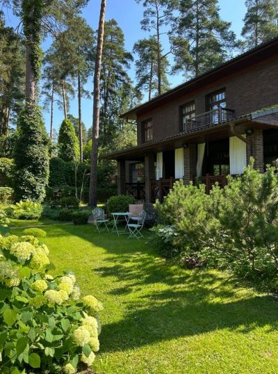 photo 69a55e4f7f603_thumb.jpg