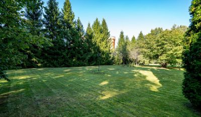 photo 681ccf8bc0bb2_thumb.jpg