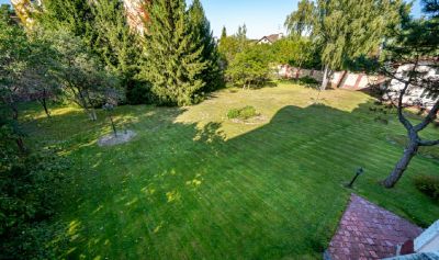 photo 681ccf8cbd427_thumb.jpg