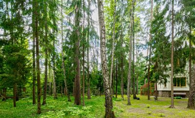 photo 683711730984f_thumb.jpg