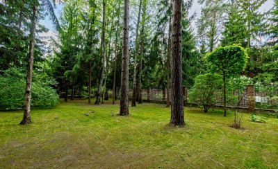 photo 683711737dc06_thumb.jpg