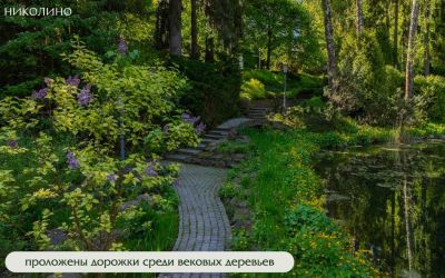 photo 68396c9701081_thumb.jpg