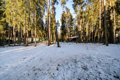 photo 69cb8ca7ed687_thumb.jpg