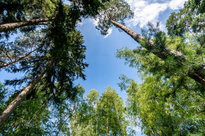 photo 688b41bc05d5a_thumb.jpg