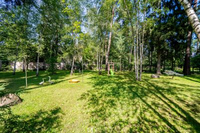 photo 688b41c84deaa_thumb.jpg