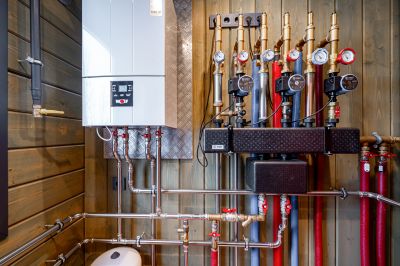 photo 6977208300b8d_thumb.jpg