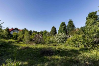 photo 68da4f78316b7_thumb.jpg