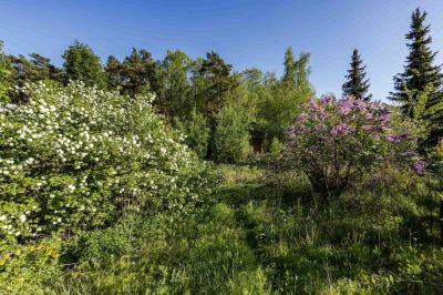 photo 68da4f78c3cb3_thumb.jpg