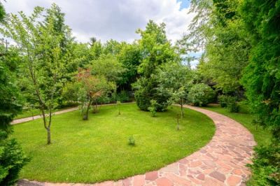 photo 68dd37c37450d_thumb.jpg