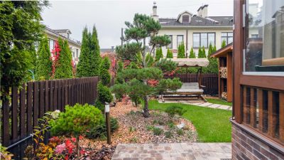 photo 69244b9ed2e02_thumb.jpg