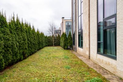 photo 694aa00e13111_thumb.jpg