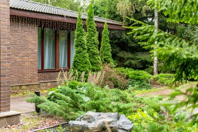 photo 12642_6893617cd6b7f_thumb.jpg