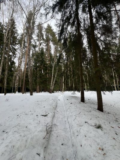 photo 69aff839c4fe8_thumb.jpg