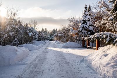 photo 697a18b3dd356_thumb.jpg