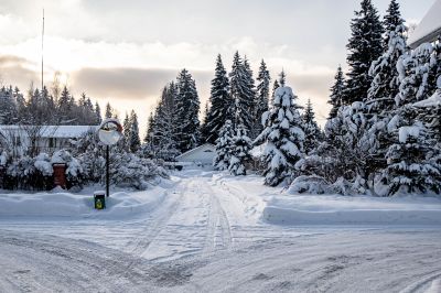 photo 697a18cecc3c4_thumb.jpg