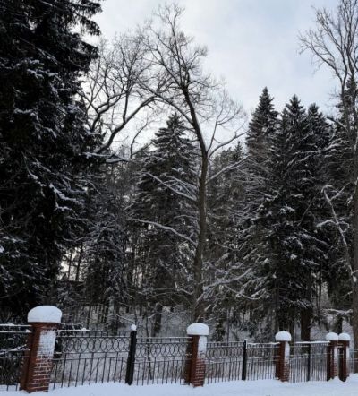 photo 69afdbe445f66_thumb.jpg